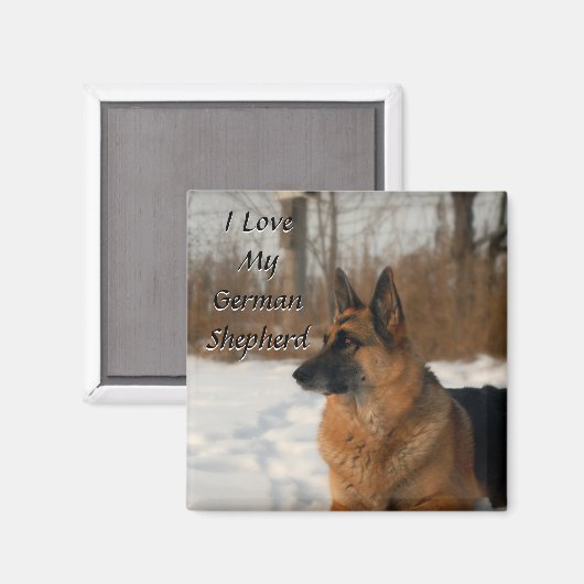 German Shepherd Magnet (Voorkant / Achterkant)
