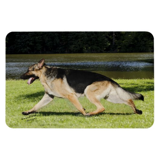 German Shepherd Magnet Magneet (Horizontaal)