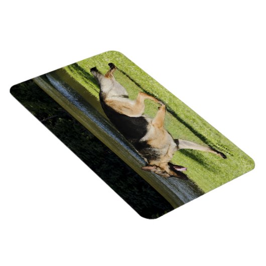 German Shepherd Magnet Magneet (Rechterzijde)