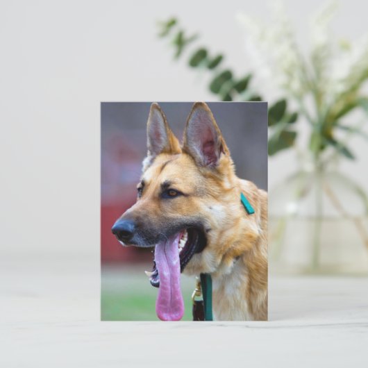 German Shepherd met Long Tongue Briefkaart (Staand voorkant)