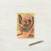 German Shepherd met One Floppy Ear Post-it® Notes (Op bureau)