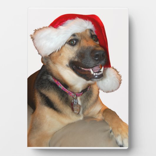German Shepherd met Santa Hat Fotoplaat (voorkant)