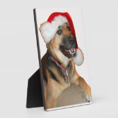 German Shepherd met Santa Hat Fotoplaat (Zijkant)