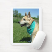 German Shepherd Muismat (Met muis)