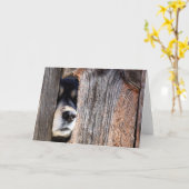 German Shepherd Nose Peeking Through Fence Kaart (Gele Bloem)