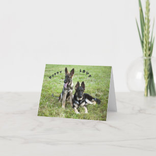 German Shepherd Note Kaart
