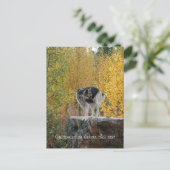 German Shepherd on a Rock Personaliseerbaar Briefkaart (Staand voorkant)