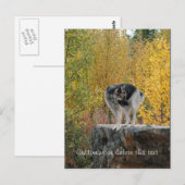 German Shepherd on a Rock Personaliseerbaar Briefkaart (Voorkant / Achterkant)
