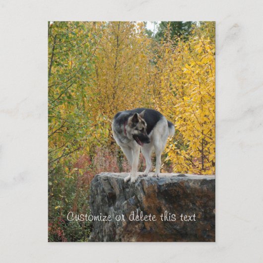 German Shepherd on a Rock Personaliseerbaar Briefkaart (Voorkant)