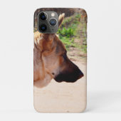 German Shepherd On Alert, Case-Mate iPhone Case (Achterkant)