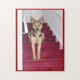 German Shepherd on Stairs Legpuzzel