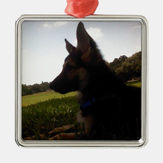 German Shepherd Ornament (Voorkant)