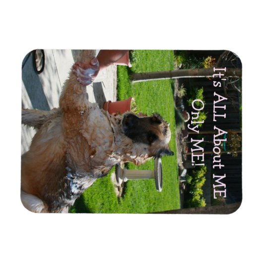 German Shepherd Over me Magnet Magneet (Horizontaal)