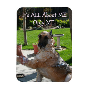 German Shepherd Over me Magnet Magneet