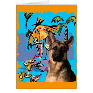 German Shepherd PartyTime