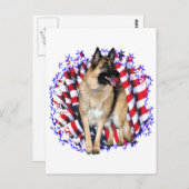 German Shepherd Patriot Briefkaart (Voorkant / Achterkant)