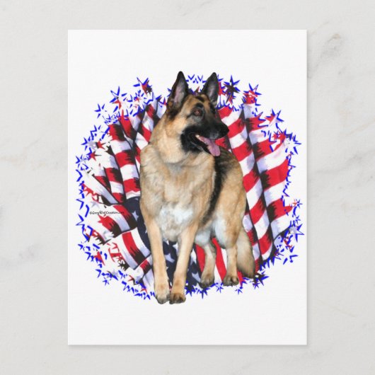 German Shepherd Patriot Briefkaart (Voorkant)