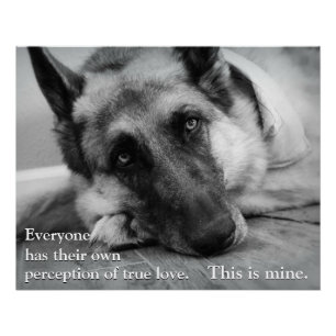 German Shepherd Perfect Poster