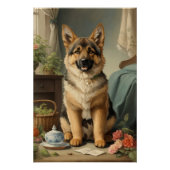 German Shepherd Perfect Poster (Voorkant)