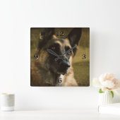 German Shepherd Photo Wall klok (Huis)