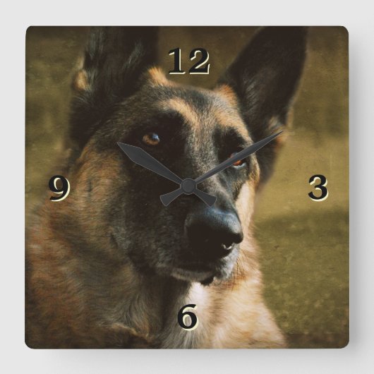 German Shepherd Photo Wall klok (Voorkant)