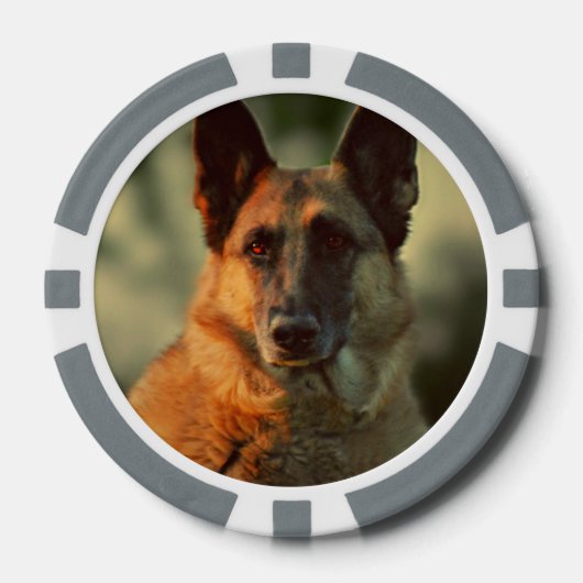 German Shepherd Poker Chips (Voorkant)