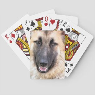 GERMAN SHEPHERD POKERKAARTEN