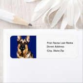 German Shepherd Portrait Etiket (Insitu)