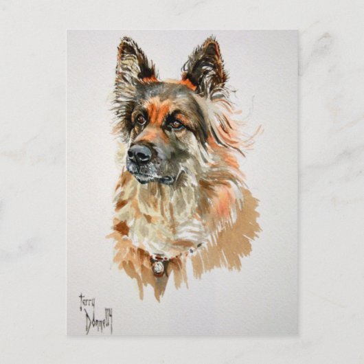 German Shepherd Post Card Briefkaart (Voorkant)