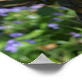 German Shepherd Poster (Hoek)