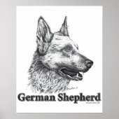 German Shepherd Poster (Voorkant)