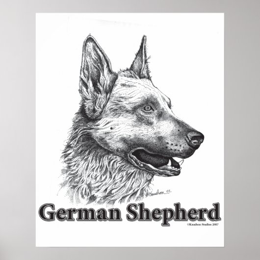 German Shepherd Poster (Voorkant)