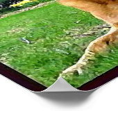 German-Shepherd Poster (Hoek)