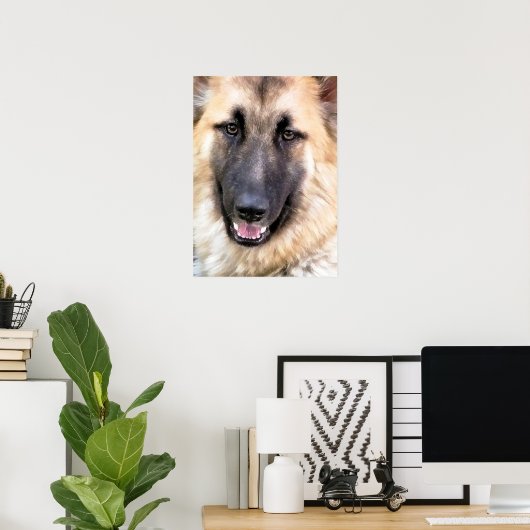 GERMAN SHEPHERD POSTER (Thuiskantoor)