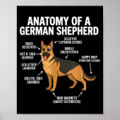 German Shepherd  Poster (Voorkant)