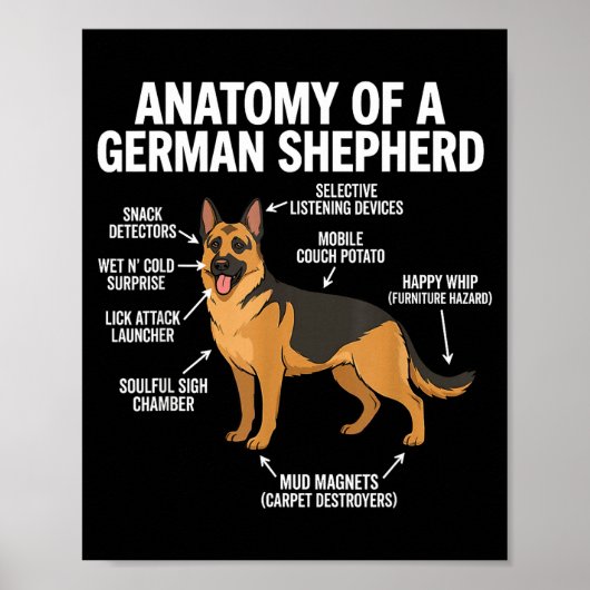 German Shepherd  Poster (Voorkant)