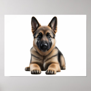 German Shepherd Poster