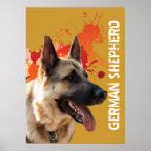 German Shepherd Poster (Voorkant)