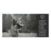 German Shepherd Poster (Voorkant)