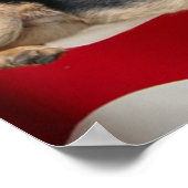 German Shepherd Print (Hoek)