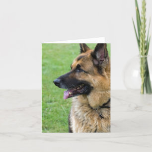 German Shepherd Profiel Kaart