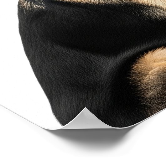 German Shepherd Profiel Poster (Hoek)