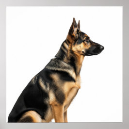 German Shepherd Profiel Poster