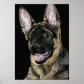 German Shepherd Pup - Poster/Print - "Rommel" Poster (Voorkant)