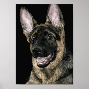 German Shepherd Pup - Poster/Print - "Rommel" Poster