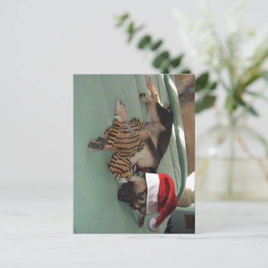 German Shepherd Pup with Santa Hat Feestdagenkaart (Staand voorkant)