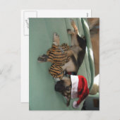 German Shepherd Pup with Santa Hat Feestdagenkaart (Voorkant / Achterkant)
