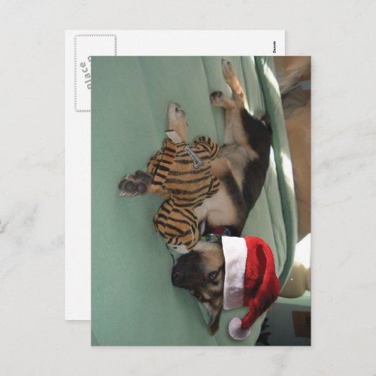 German Shepherd Pup with Santa Hat Feestdagenkaart (Voorkant / Achterkant)