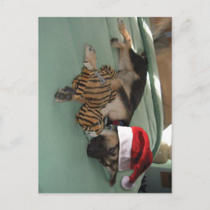 German Shepherd Pup with Santa Hat Feestdagenkaart