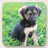 German Shepherd Puppy Bier Onderzetter (Voorkant)